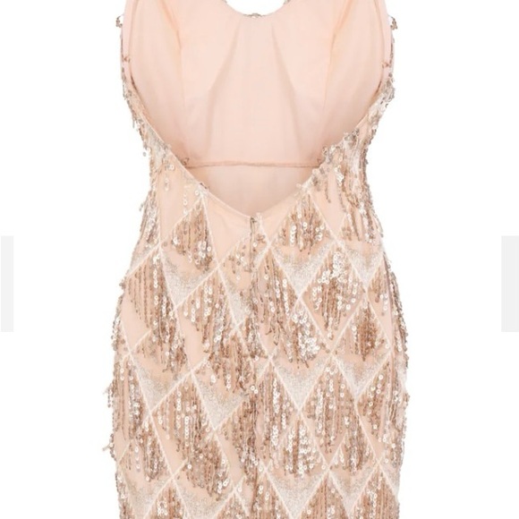 Sequin Fringe Dress - Picture 5 of 6